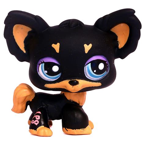 chihuahua lps